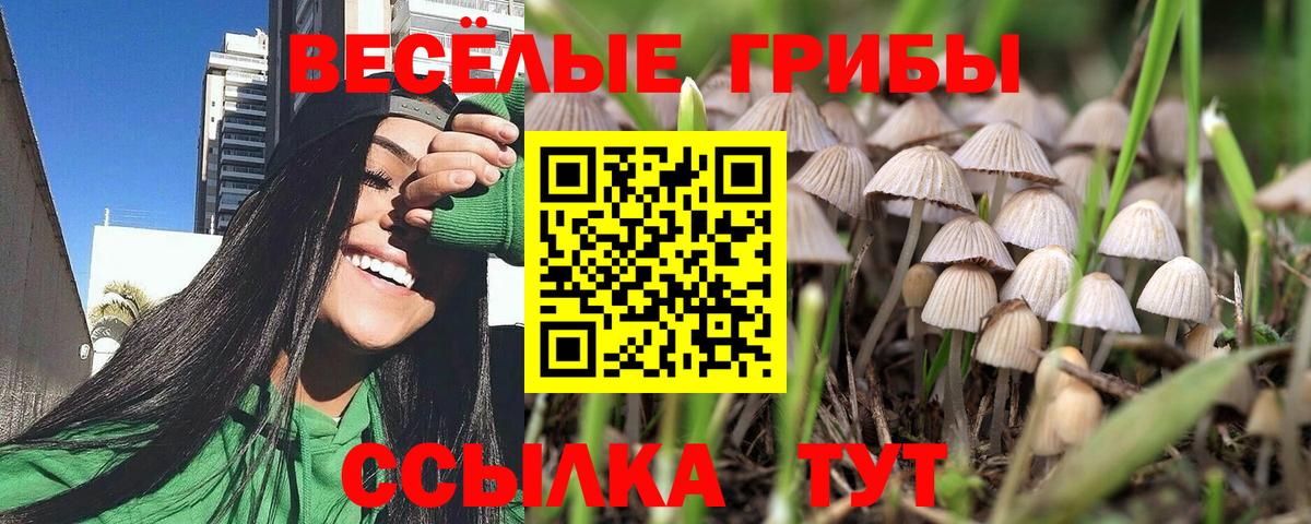 Выкса  Галлюциногенные грибы Cubensis  Вход с VPN 