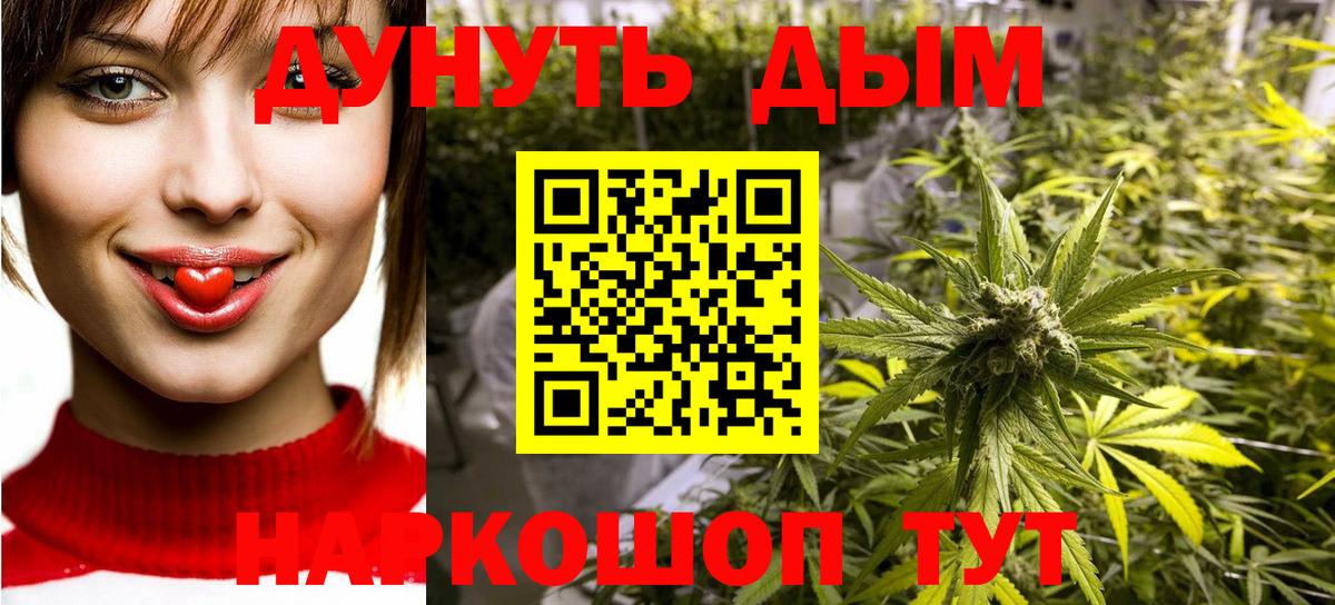 Конопля сатива Выкса